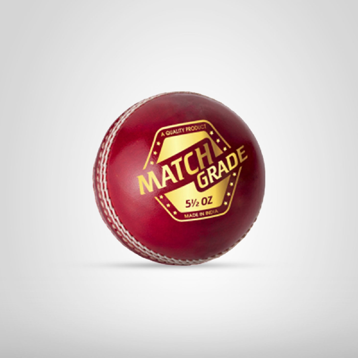 DSC Leather Ball Match Grade 