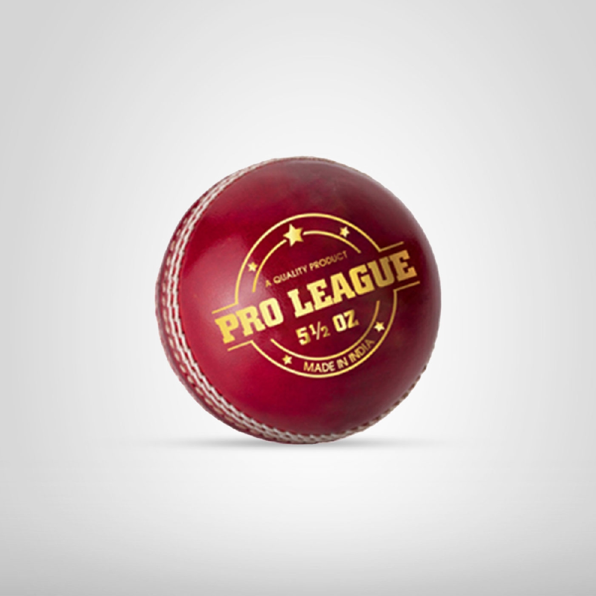 DSC Leather Ball Pro League