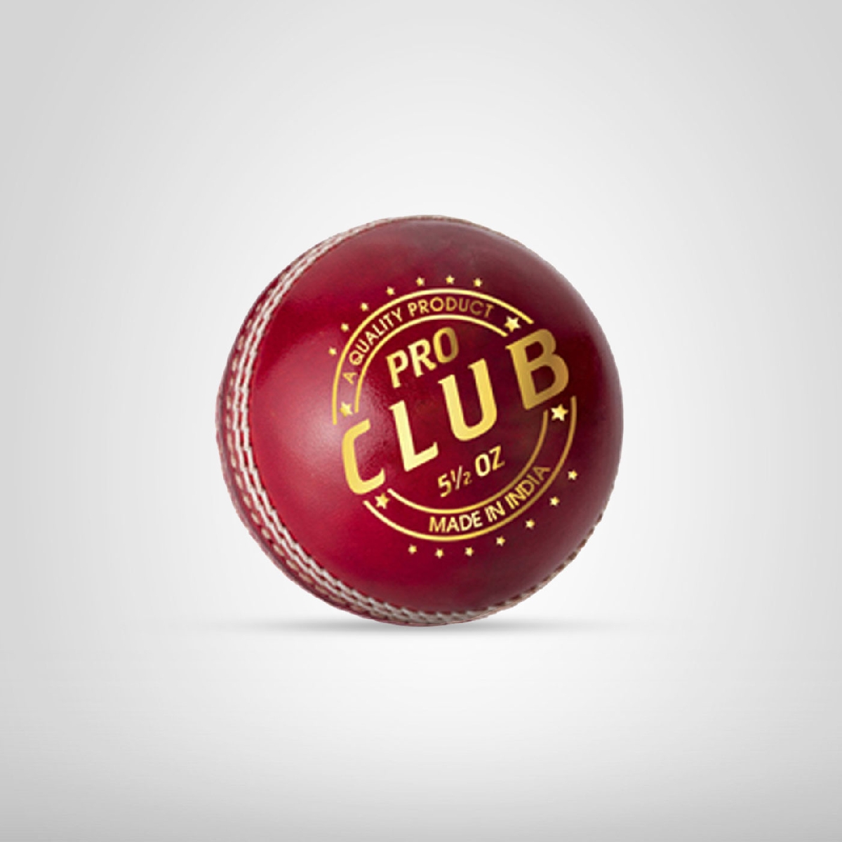 DSC Leather Ball Pro Club
