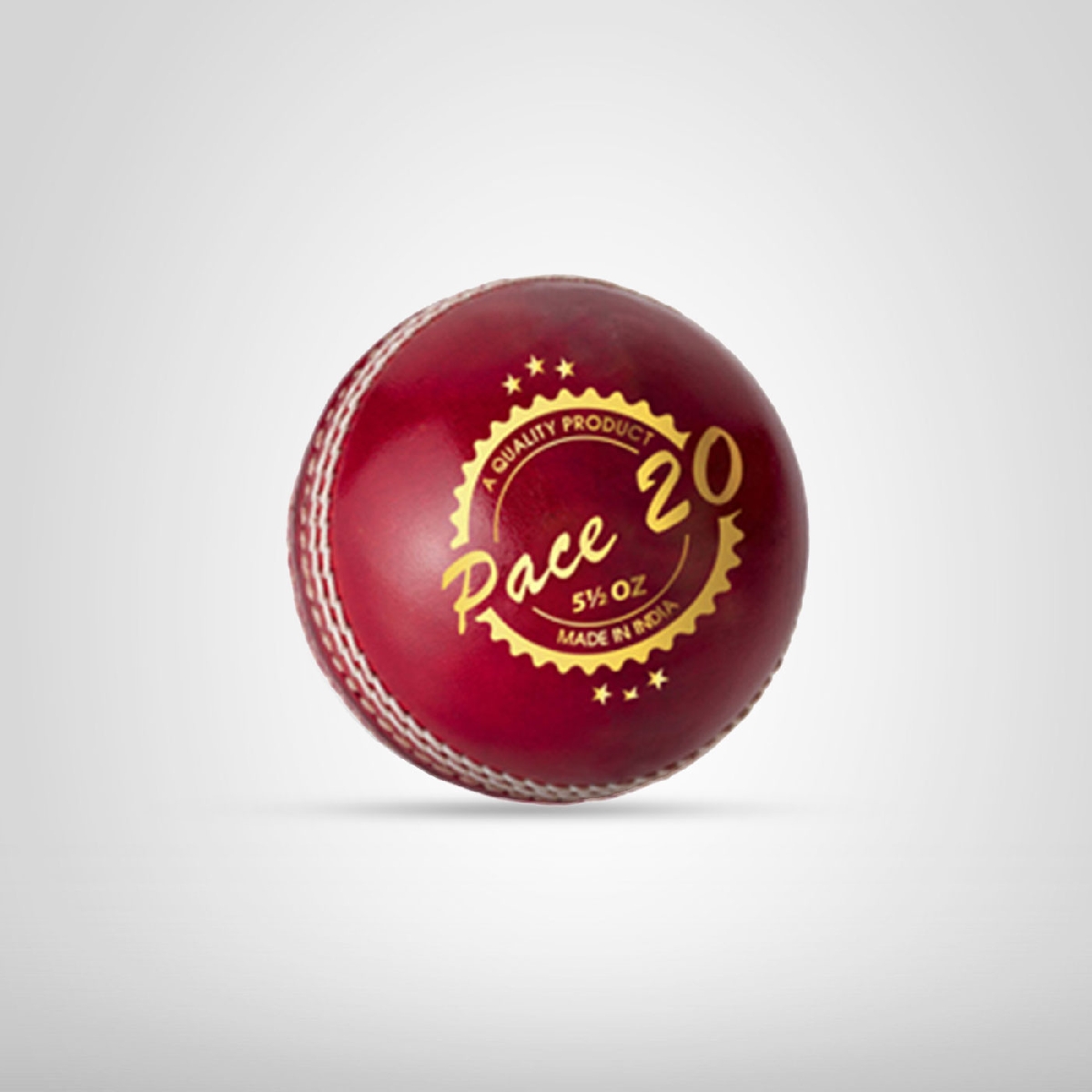 DSC Leather Ball Pace 20