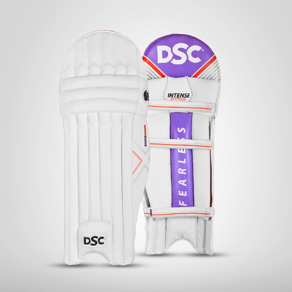 DSC Intense attitude Batting Leg Guard